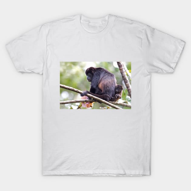 Howler monkeys - Costa Rica T-Shirt by Jim Cumming